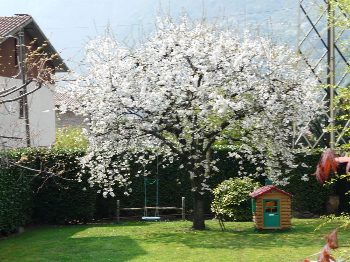 La Casa Di Clara Bed & Breakfast Esine Exterior photo